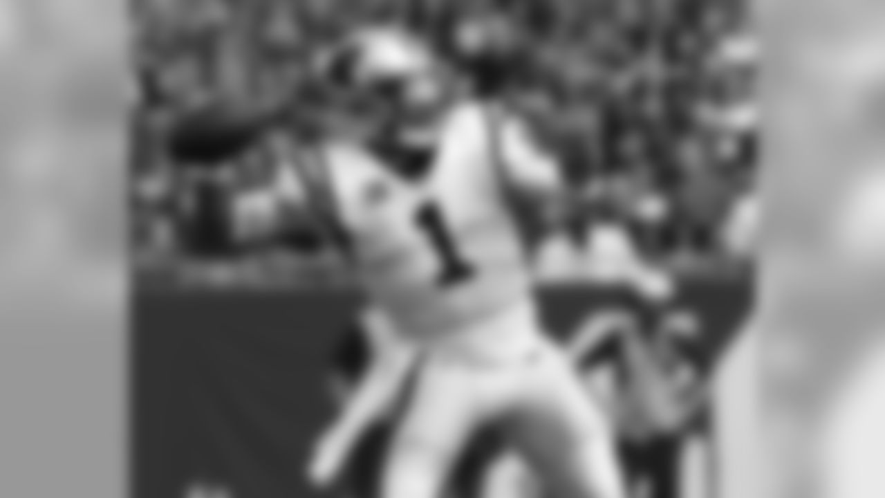 Carolina Panthers