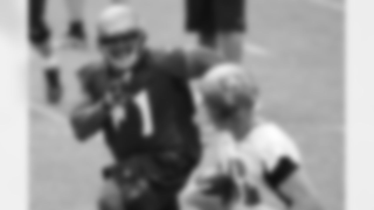 DT Jovan Haye stays in hot pursuit of the scrambling quarterback