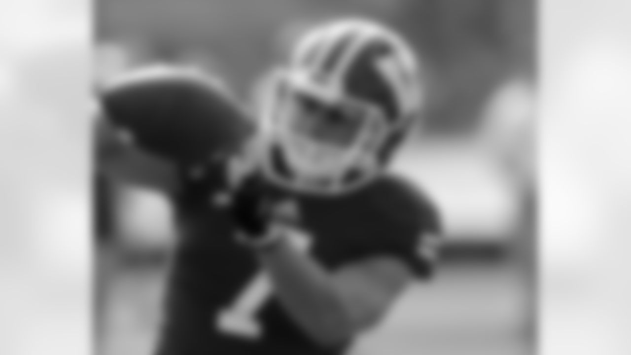 S Michael Caputo, Wisconsin