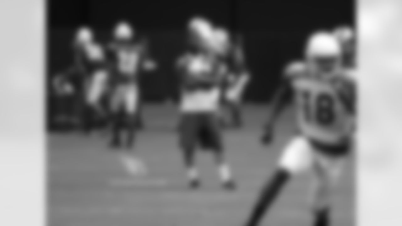 WR Smokey Brown