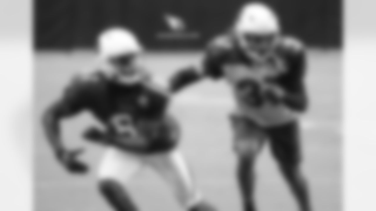 Day 14: CB Tramon Williams (right) covers WR Chris Hubert