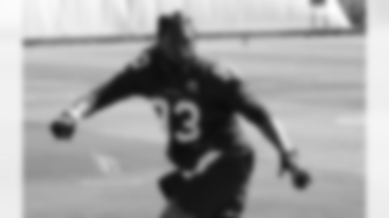 LB Jarvis Jones