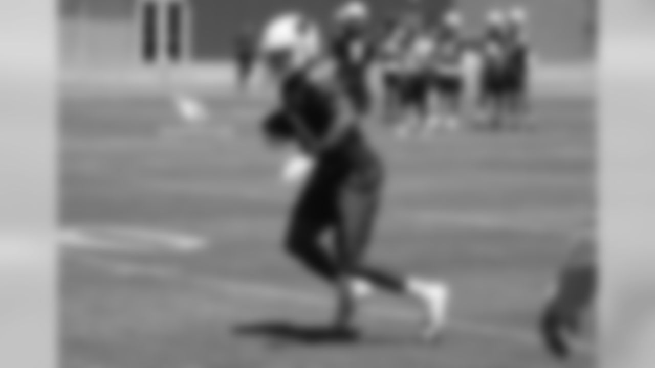 RB David Johnson