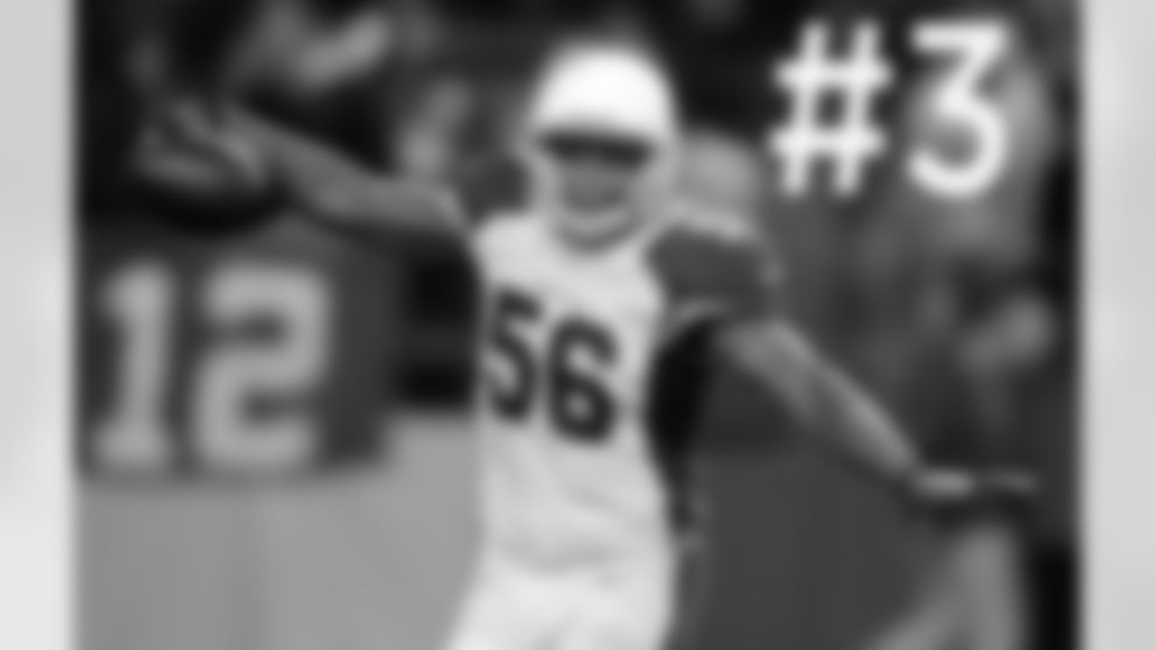 Linebacker Karlos Dansby celebrates his game-clinching interception.