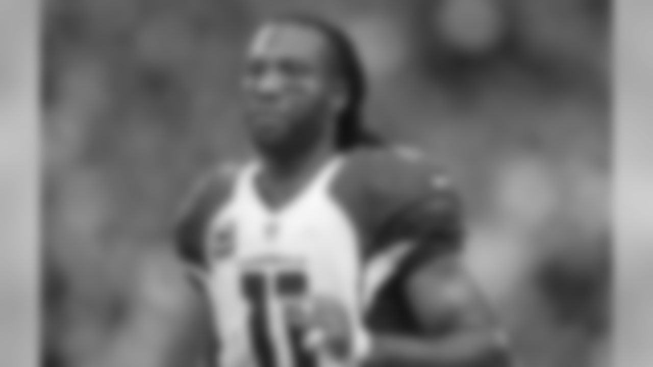 WR Larry Fitzgerald