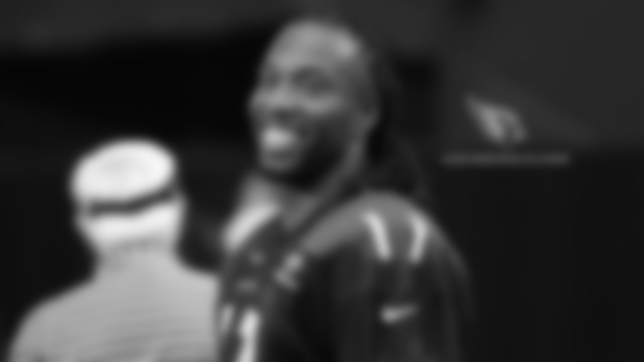 WR Larry Fitzgerald