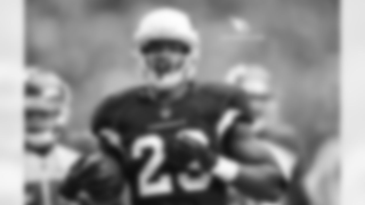 Adrian Peterson's 27-yard TD run vs. the Bucs