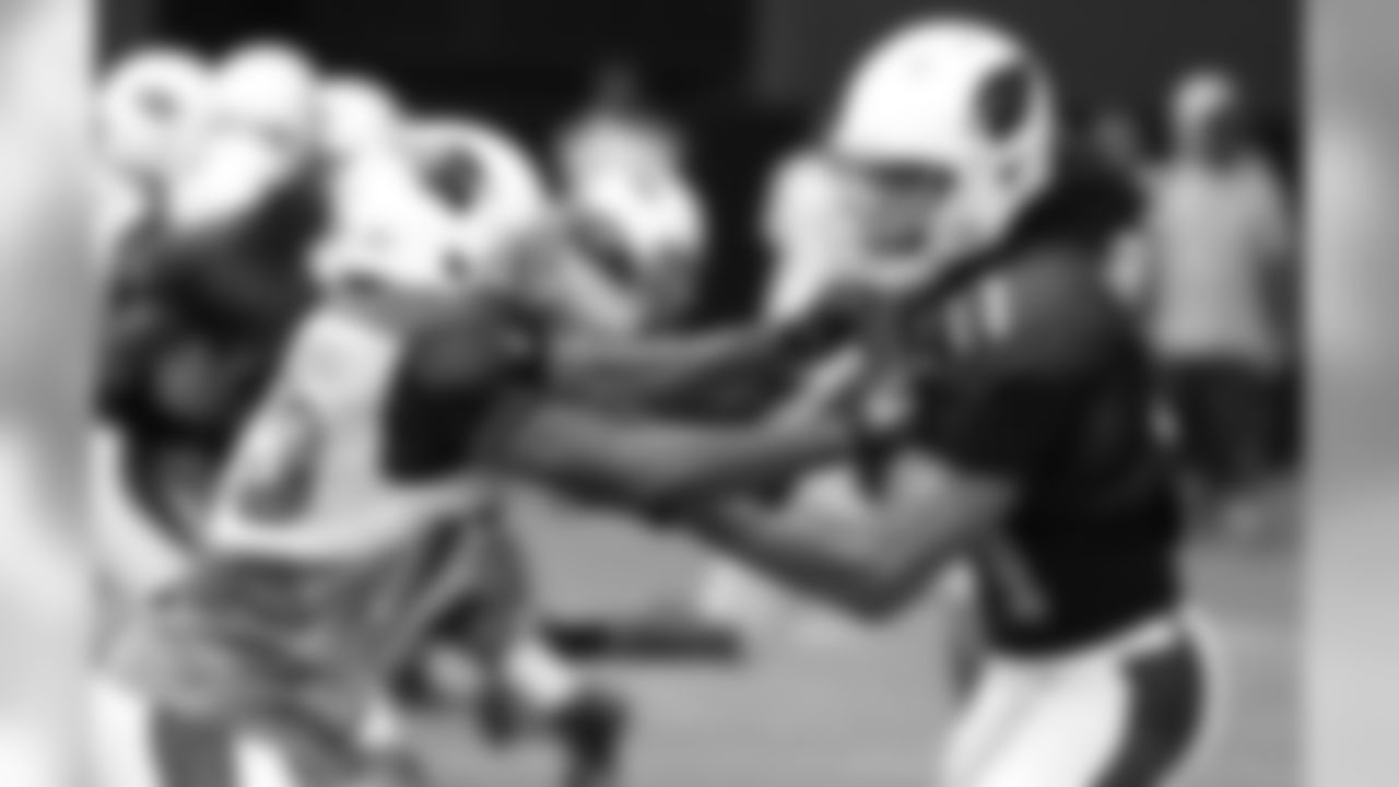 CB Jerraud Powers (left) and WR Larry Fitzgerald