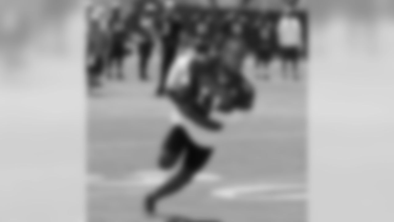 WR Larry Fitzgerald