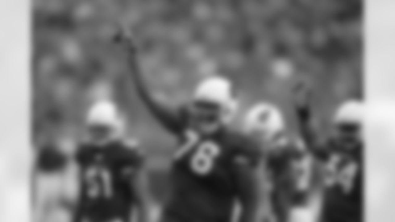 Alan Branch fires up the defense