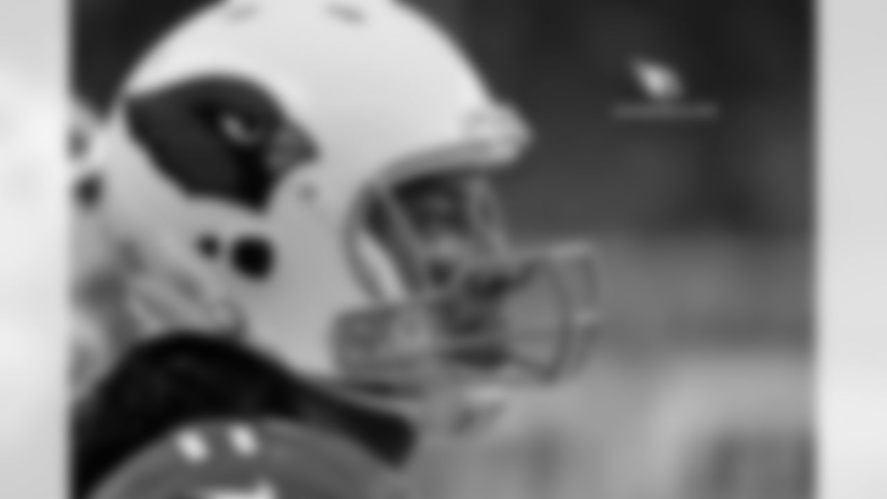 WR Larry Fitzgerald