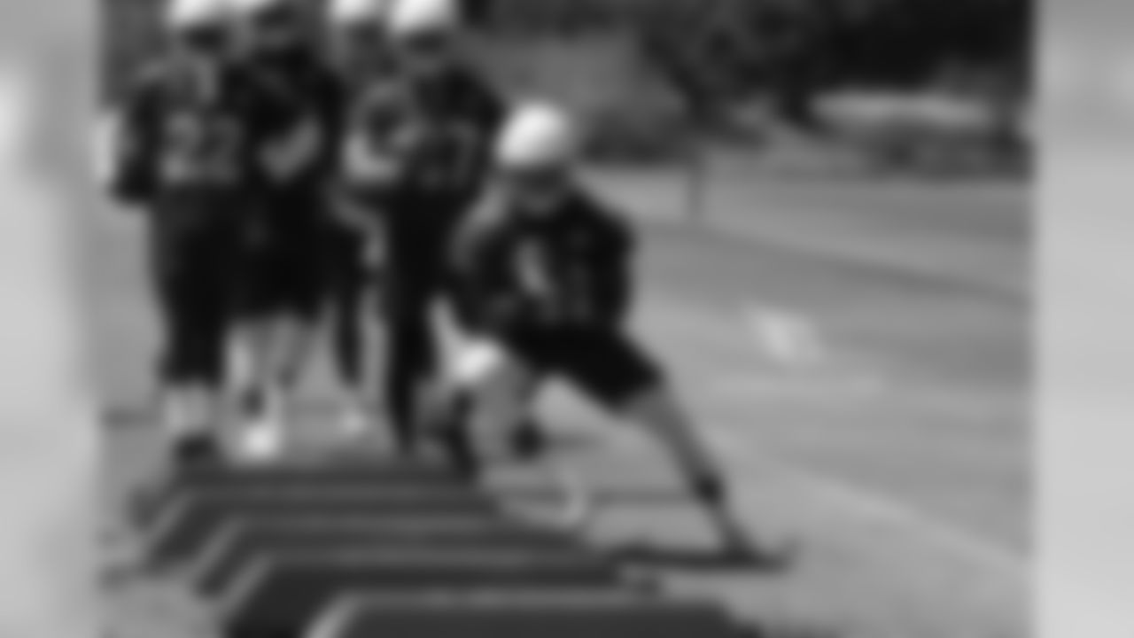 RB David Johnson