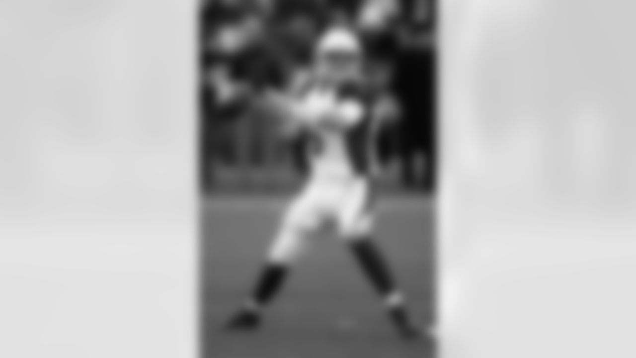 QB - Brian Hoyer, Restricted (Tendered 1-yr offer 3/9)