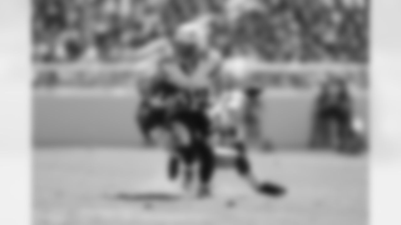 RB Danny Woodhead