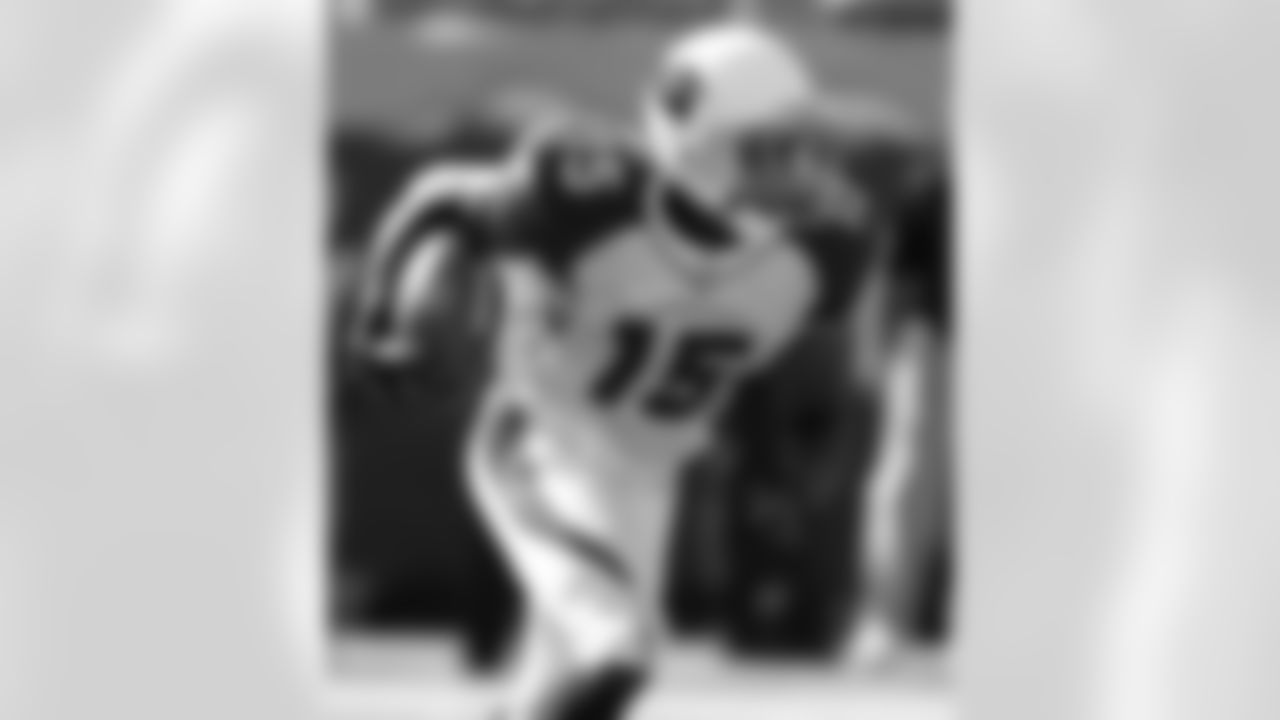 Steve Breaston 2007
