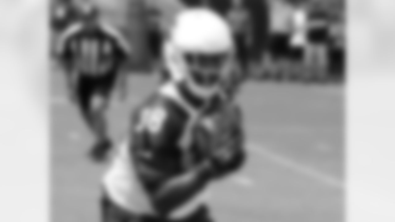 RB Andre Ellington
