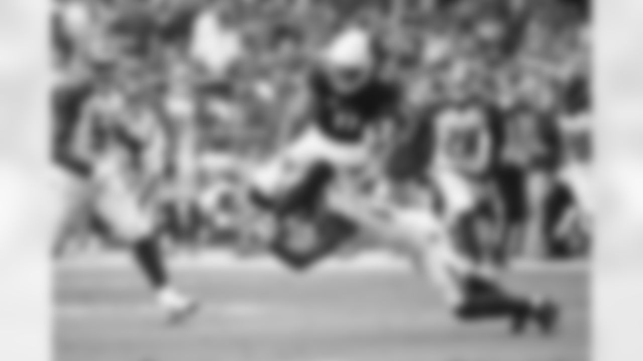 WR Larry Fitzgerald