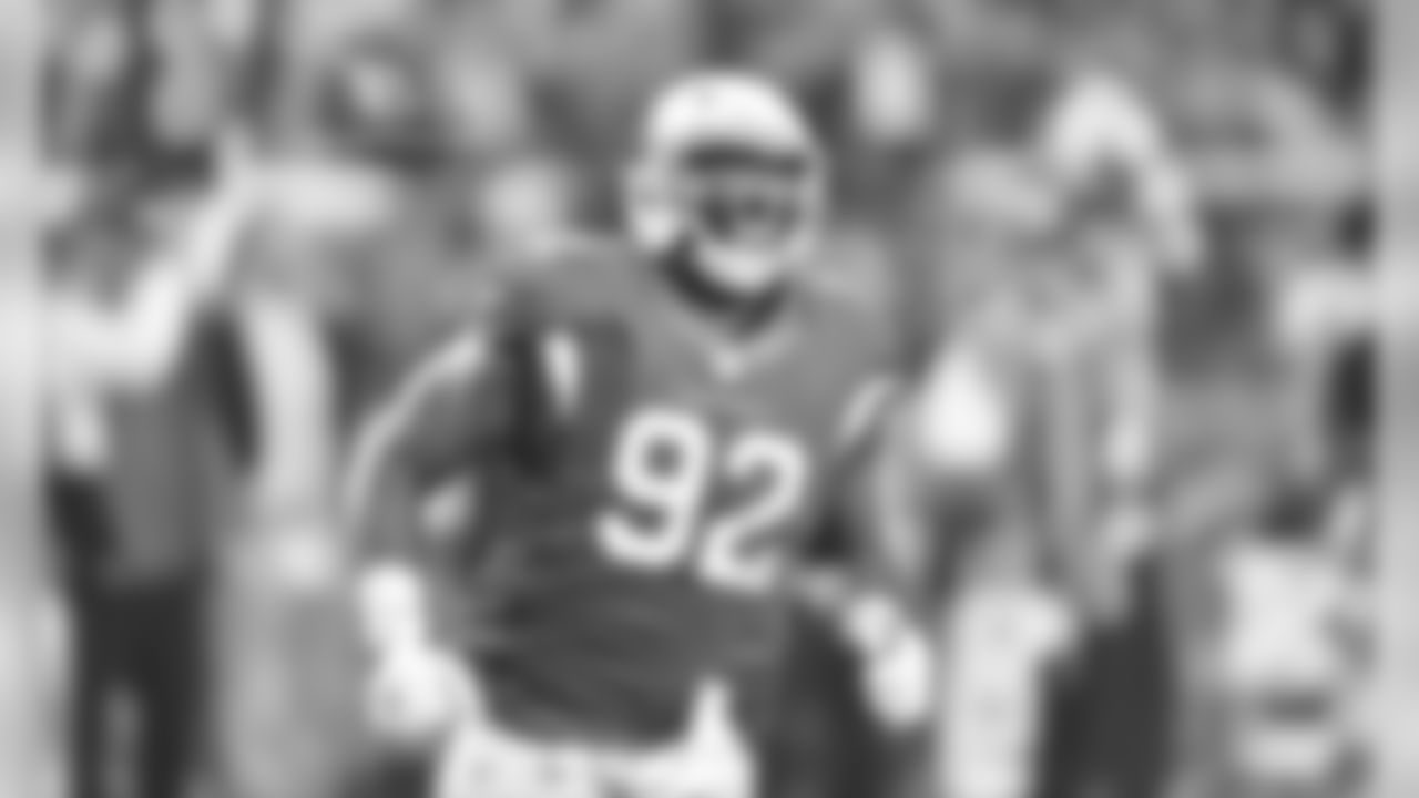 DT Frostee Rucker against the Patriots
