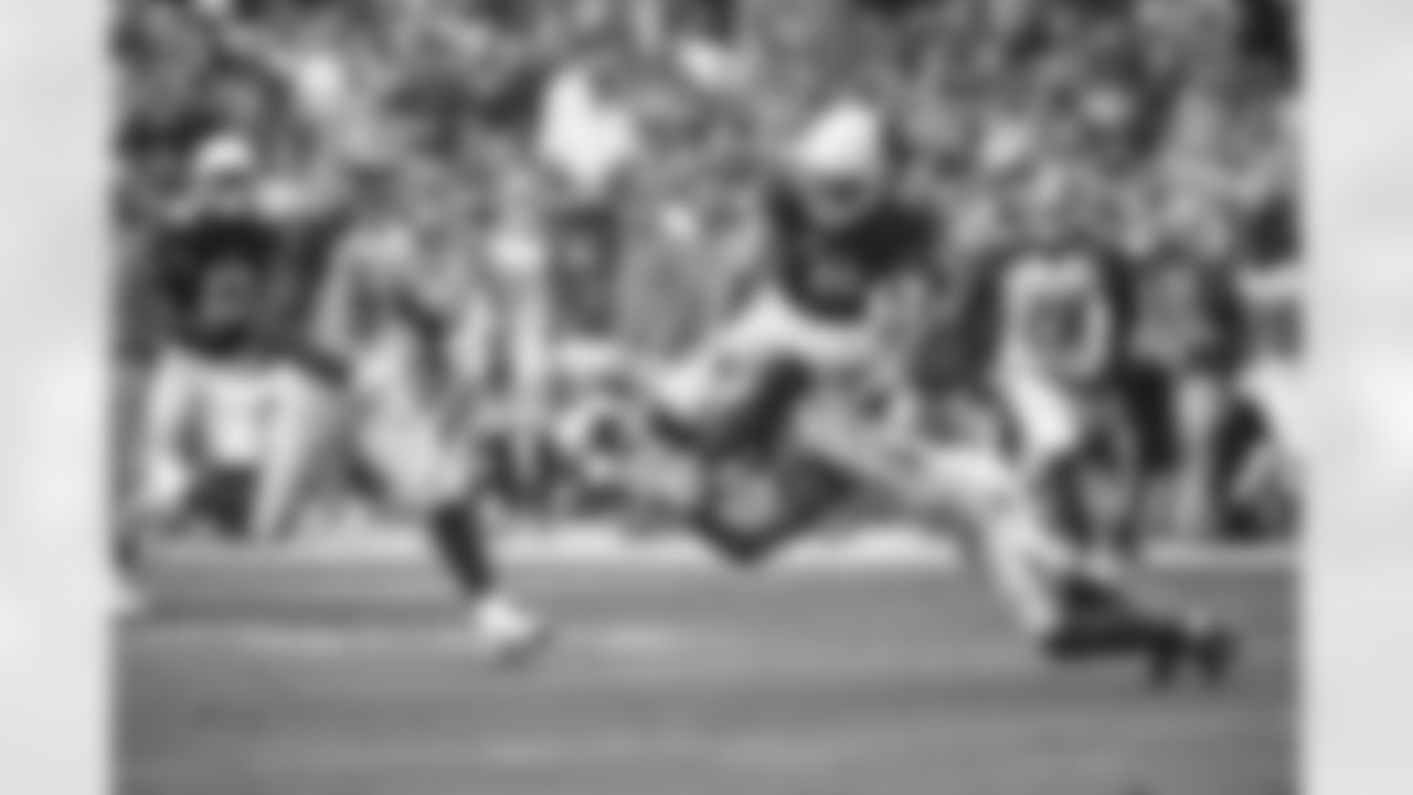 WR Larry Fitzgerald