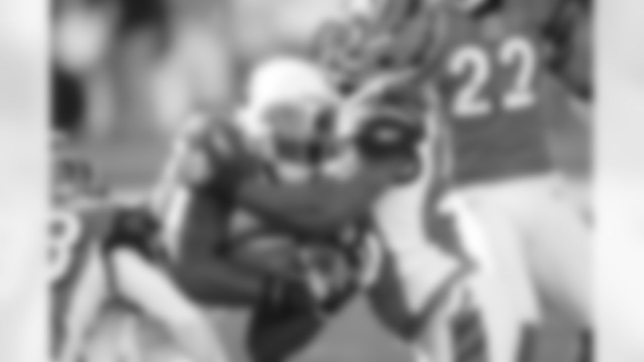 RB Chester Taylor