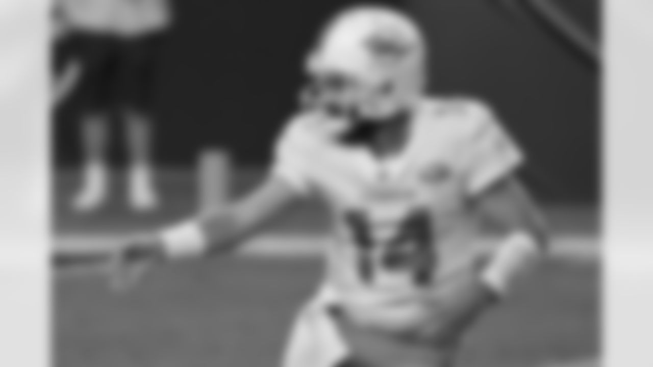 QB Ryan Fitzpatrick