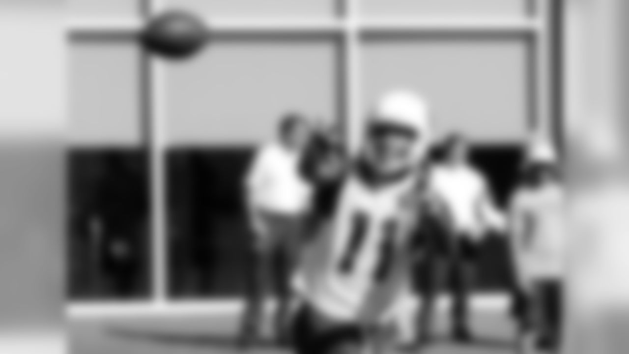 WR Larry Fitzgerald