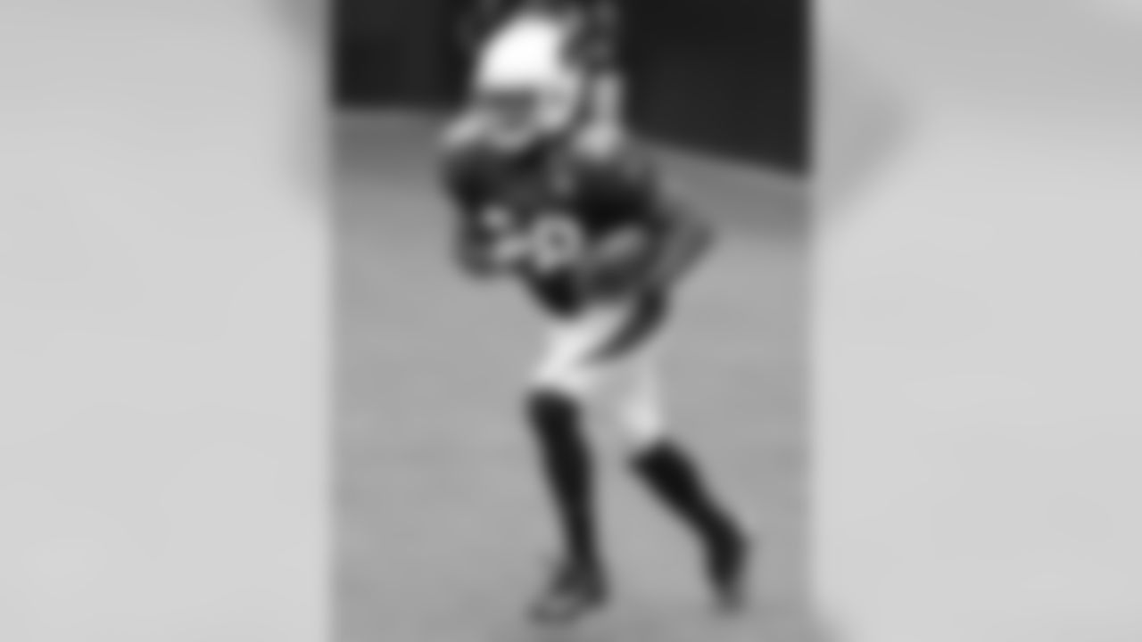 RB Andre Ellington