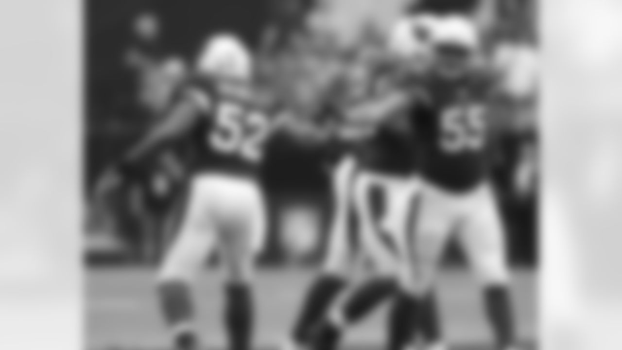 LB power: Jasper Brinkley and John Abraham