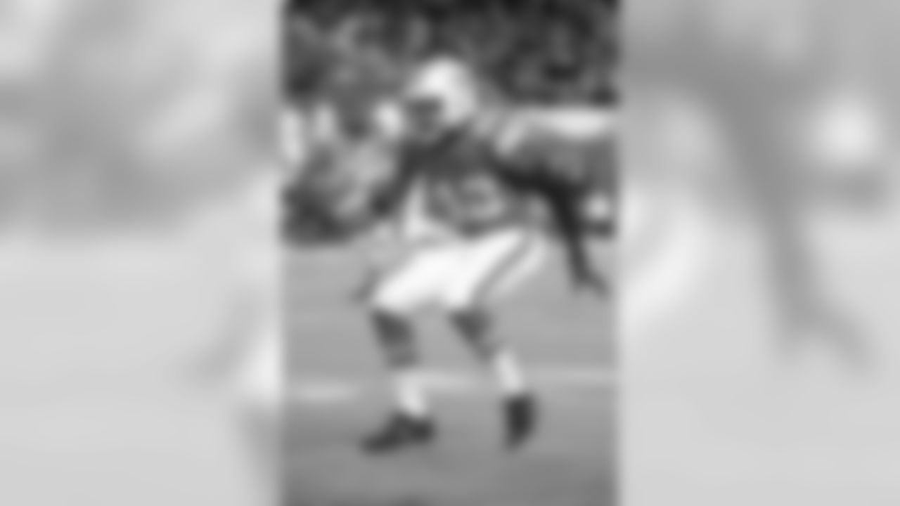 CB Alterraun Verner