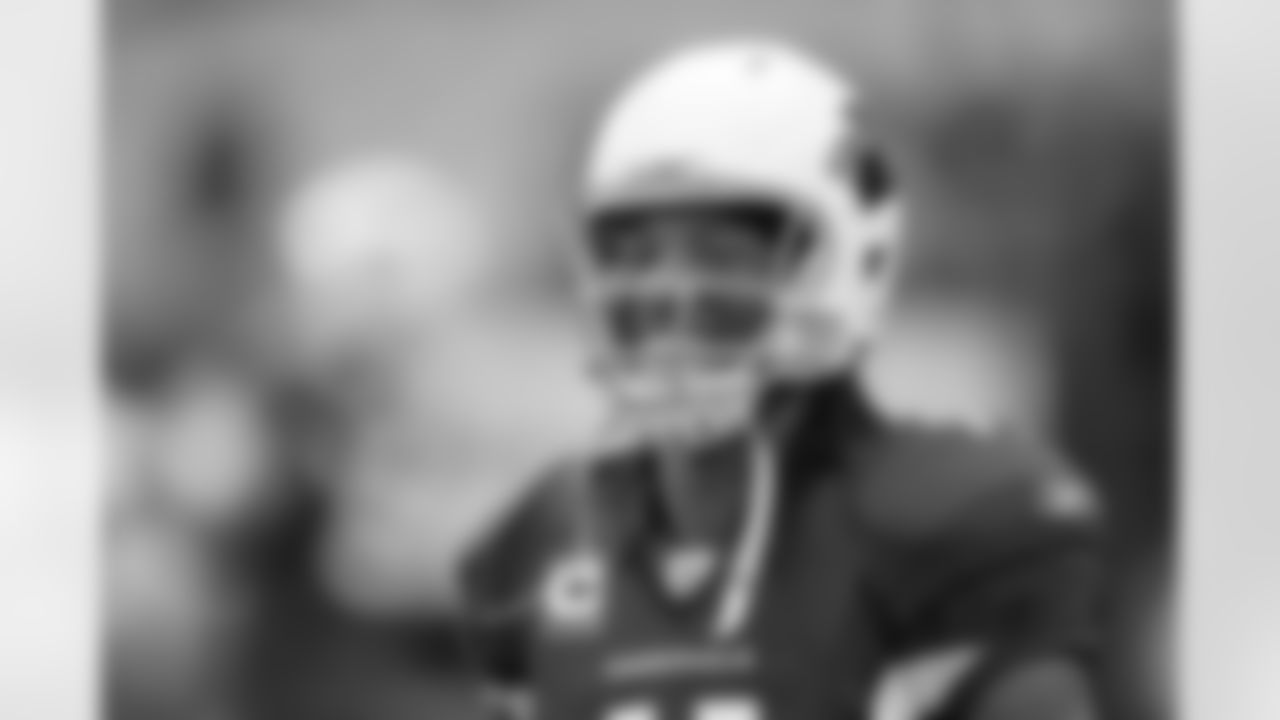 WR Larry Fitzgerald