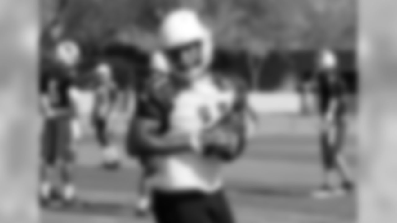 WR Larry Fitzgerald