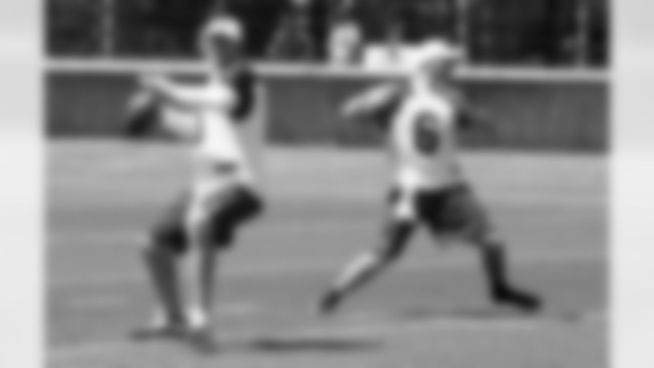 Carson Palmer and Brian Hoyer fire passes