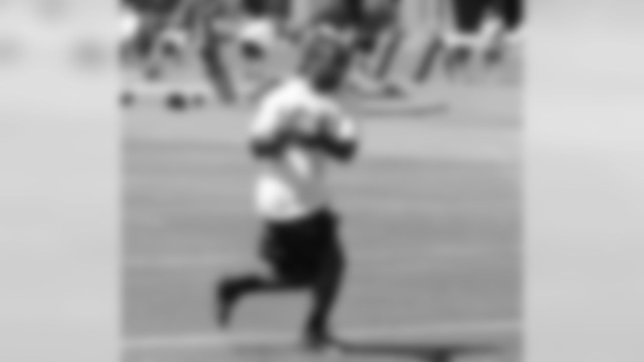 2012: RB LaRod Stephens-Howling