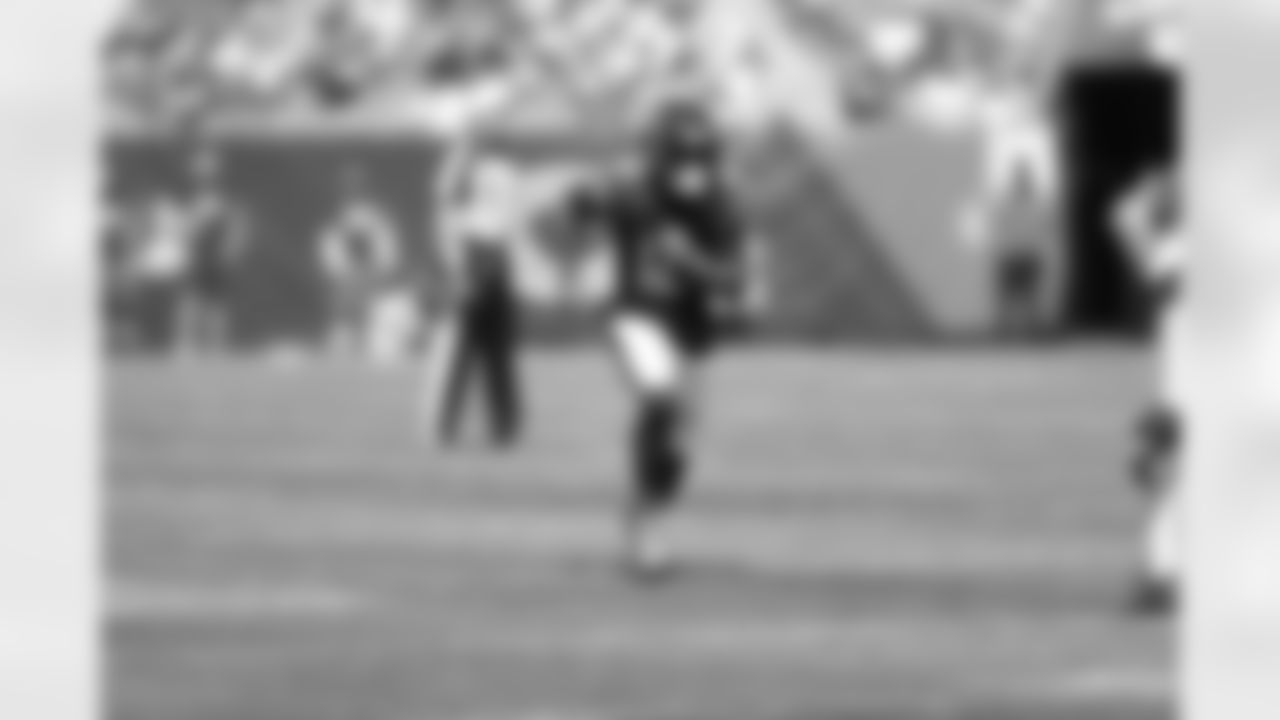 WR Allen Robinson II