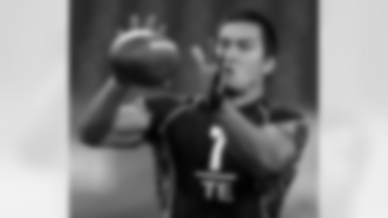 TE Rob Housler - 2011