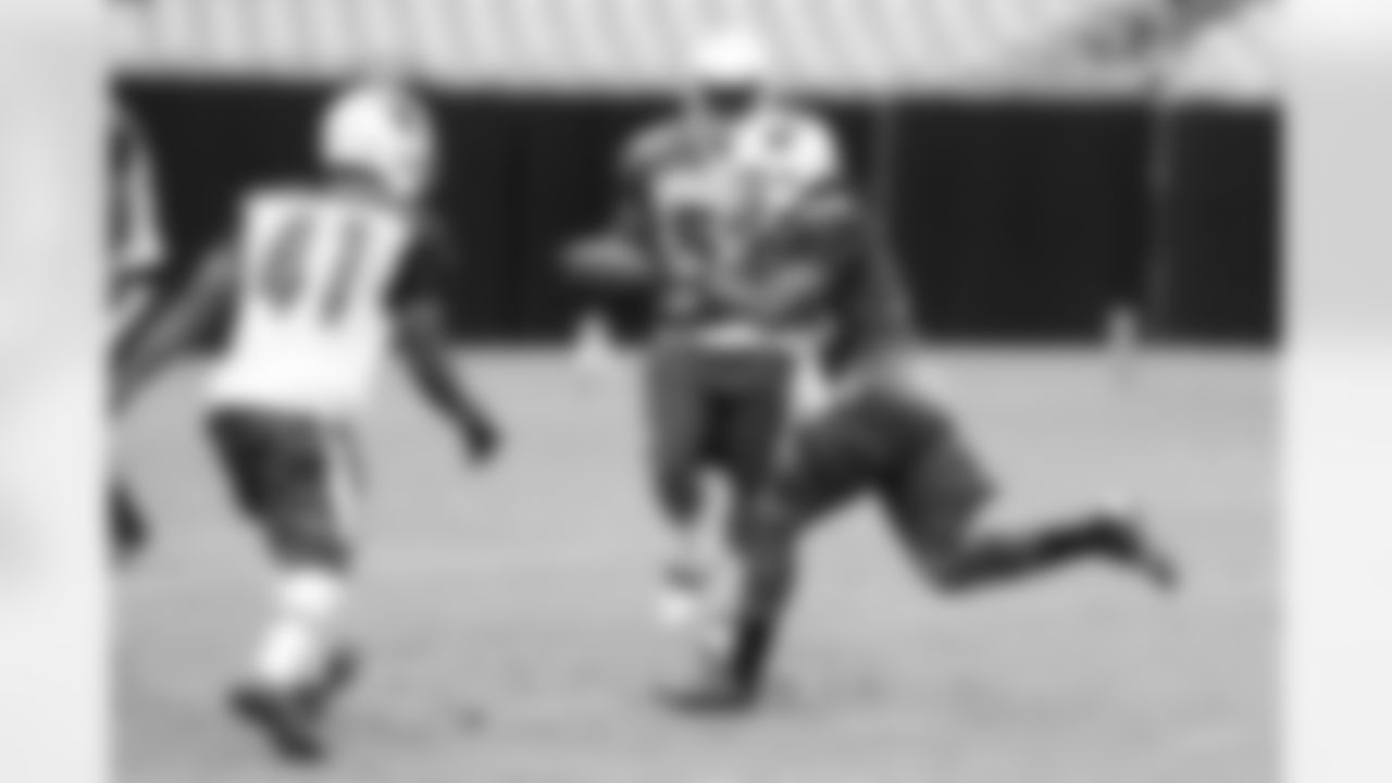 RB Andre Ellington stretches for a TD