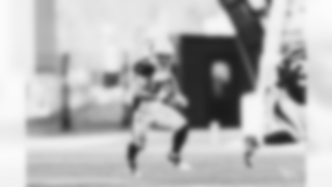 WR Andy Isabella