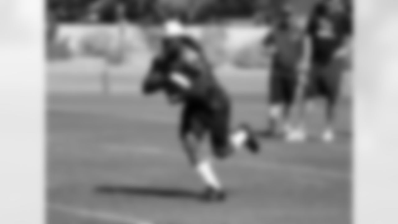 RB Andre Ellington