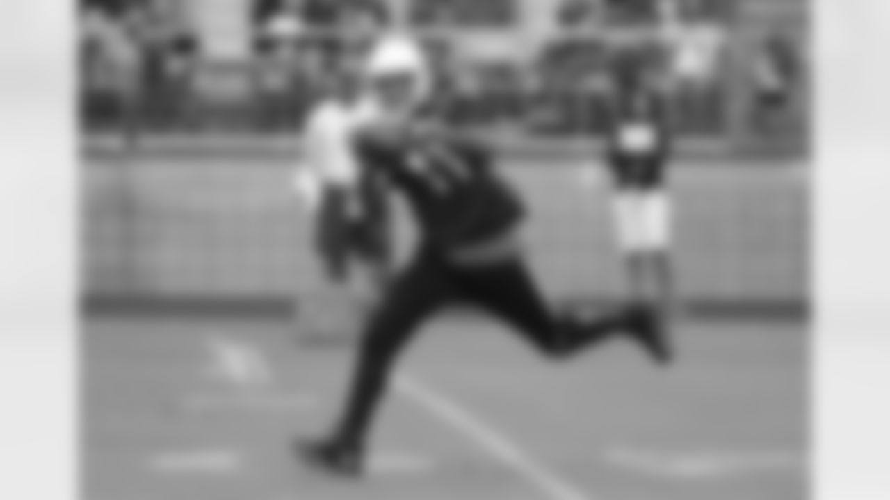 WR Larry Fitzgerald