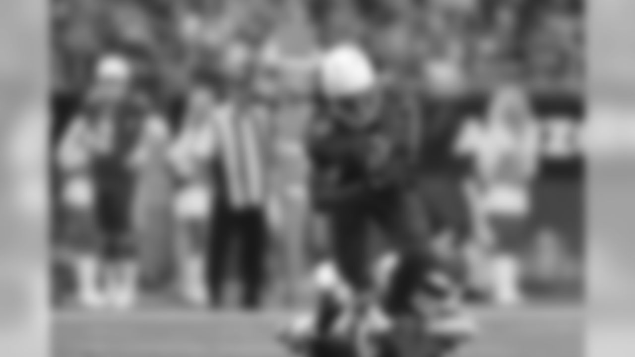WR Larry Fitzgerald