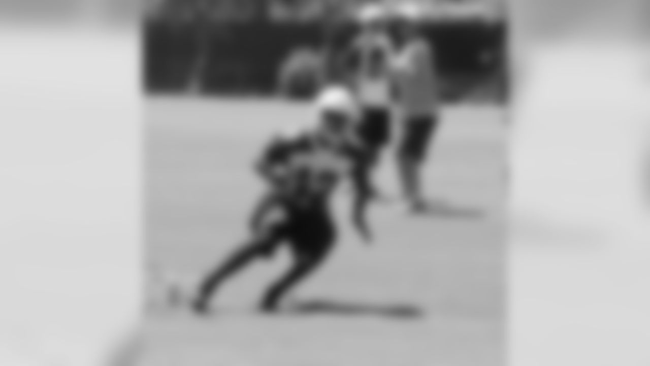 WR Andre Roberts
