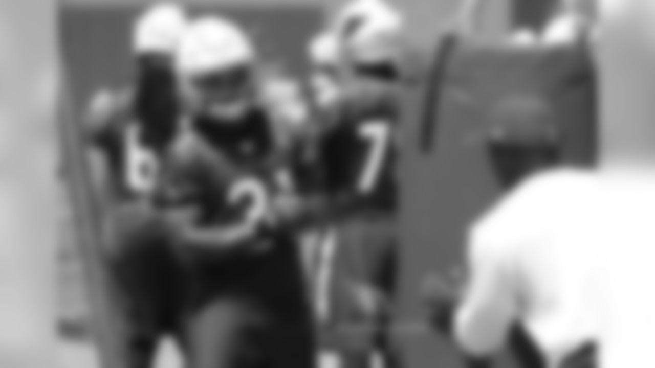 RB David Johnson