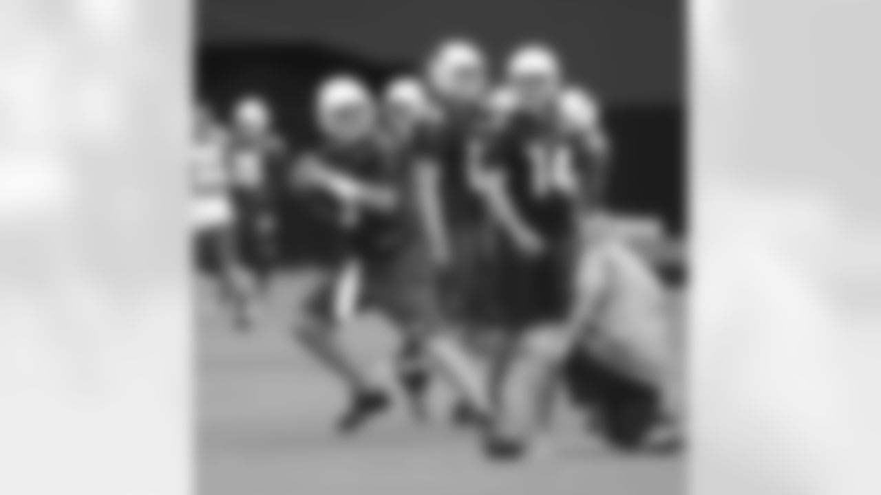QB Carson Palmer fades to pass