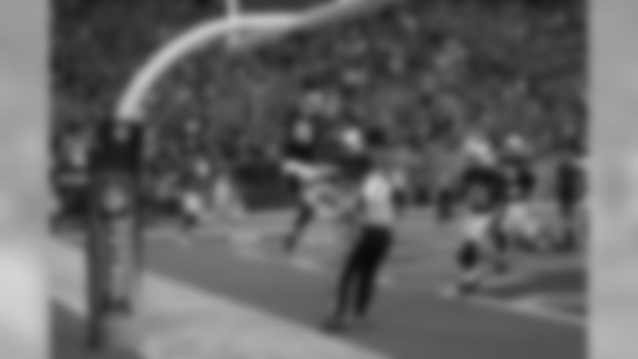 WR Michael Floyd