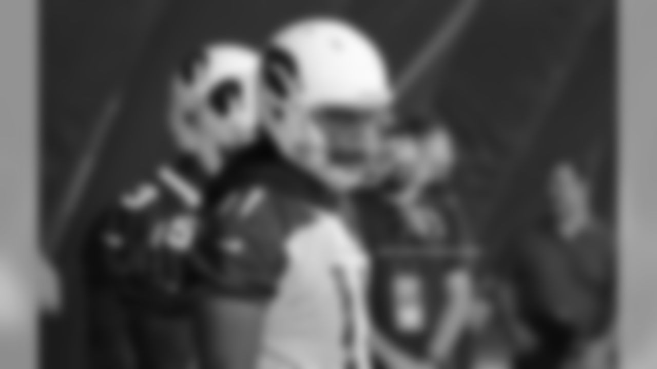 WR Larry Fitzgerald