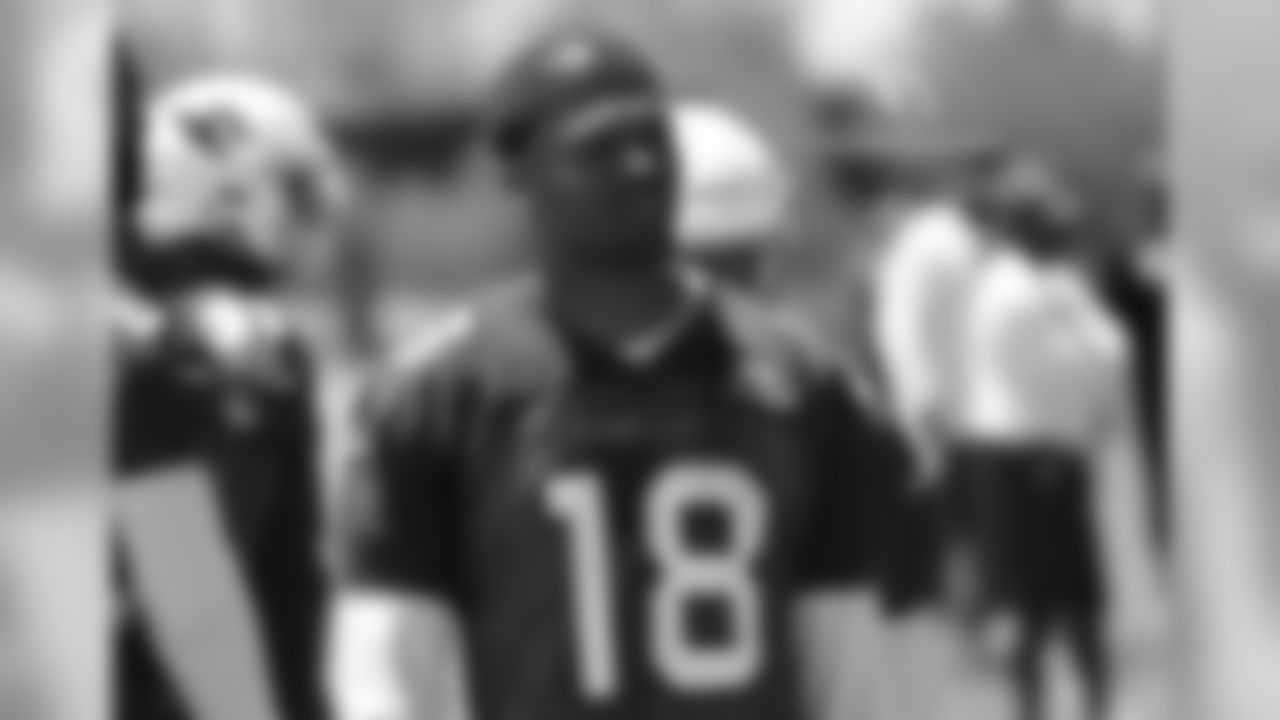 WR Brice Butler