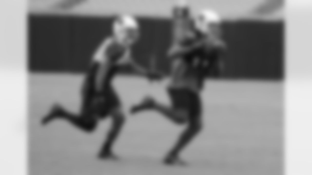 WR Larry Fitzgerald makes the catch