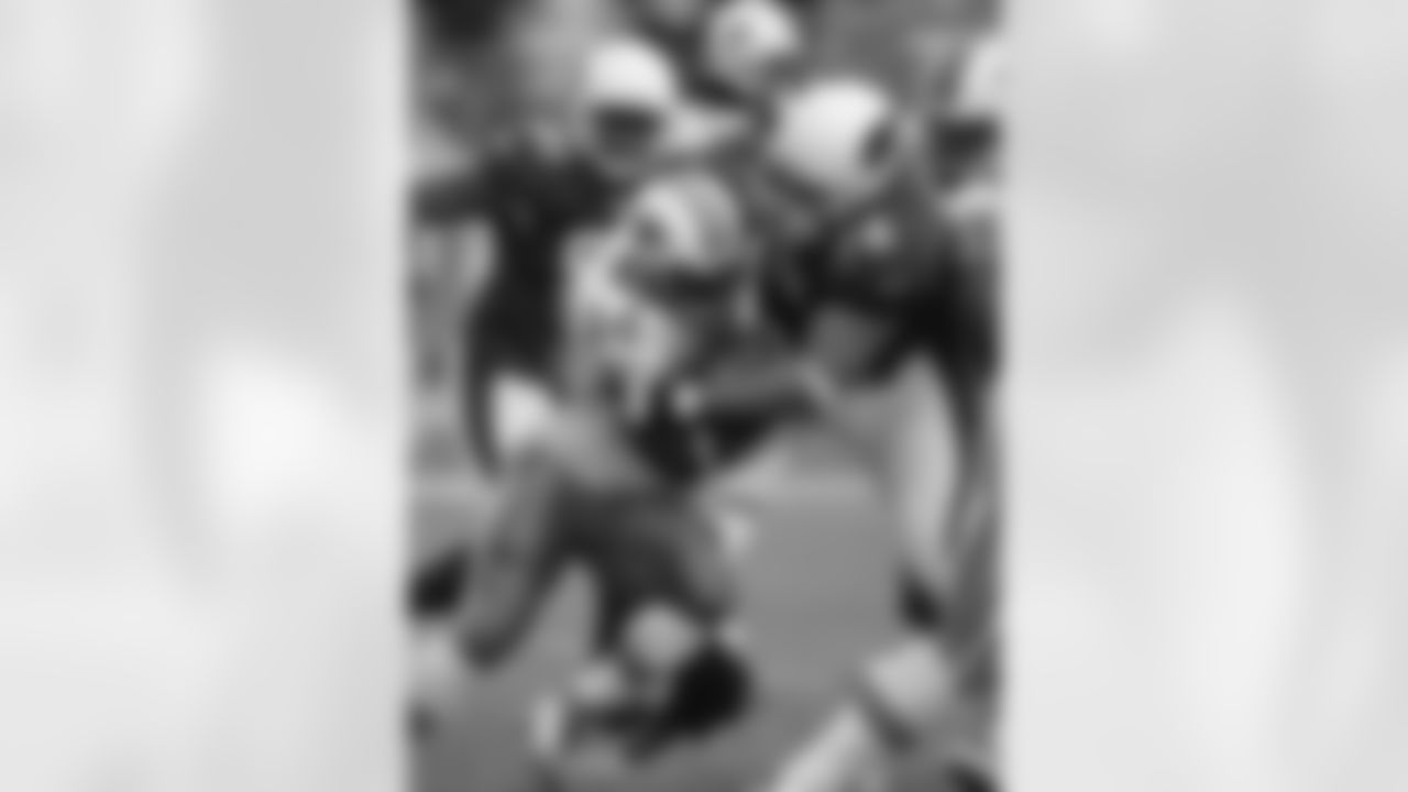 Cardinals vs. Dolphins