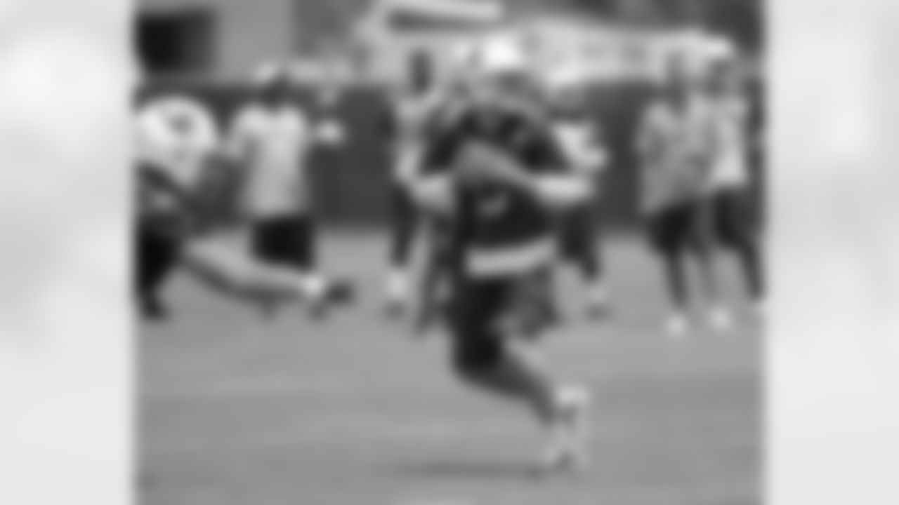 Carson Palmer drops back to pass