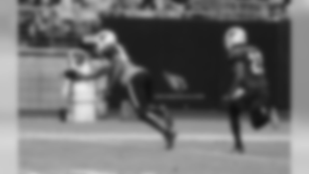WR Larry Fitzgerald with the diving catch